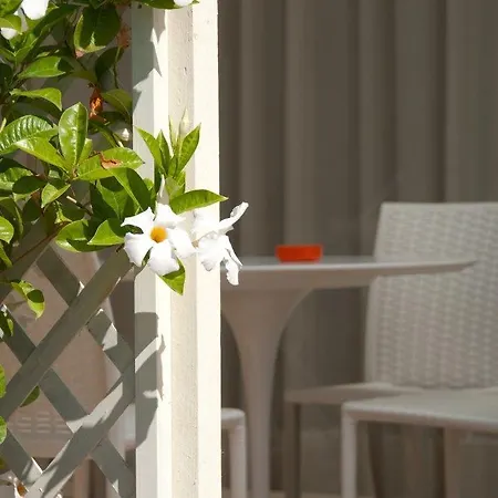 Guest house Il Marlo & Breakfast Marina Di Carrara